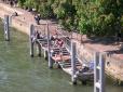  bord de Seine